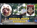 Imported American Bullies | My trip to Bulacan | FBR Kennels | Vlog Ep 11