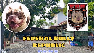 Imported American Bullies | My trip to Bulacan | FBR Kennels | Vlog Ep 11