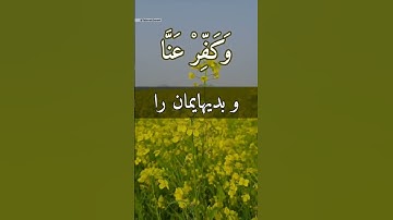 سوره آل عمران؛ آیه ۱۹۳ با ترجمه زیر نویس فارسی