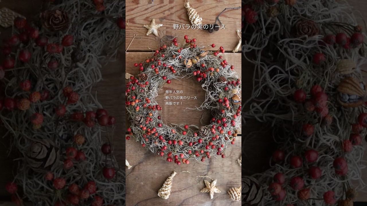 リース(コットンフラワー&野バラ) /クリスマスリースドライフラワー野