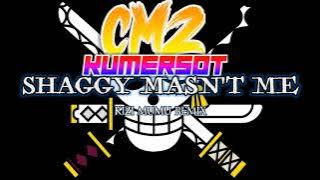 SHAGGY WASN'T ME - KIZI MUMU REMIX NEW!!!