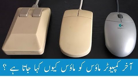 why is a computer mouse called a mouse? | Viral Video | interesting and Strange