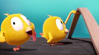 Where's Chicky? | Chicky going crazy! | A Xilam Series | Xilam TV