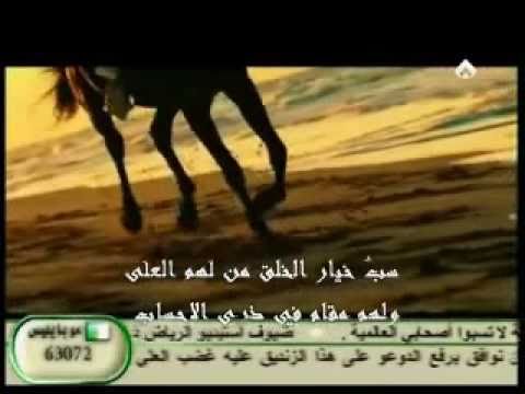 صفا قناة قناة صفا