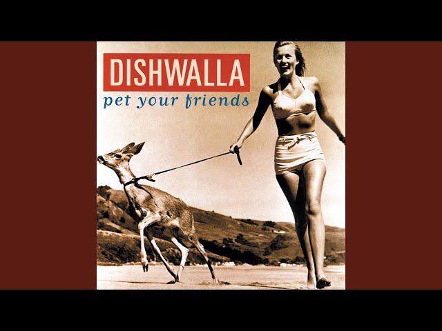 Dishwalla - All She Can See