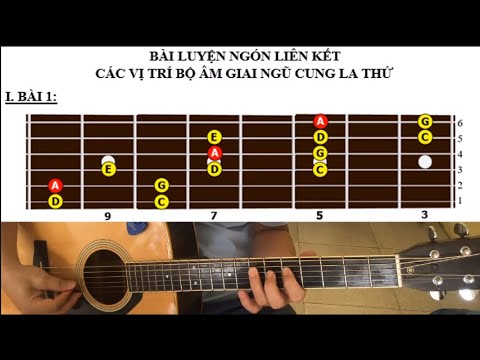 Video: Chạy Từ đầu