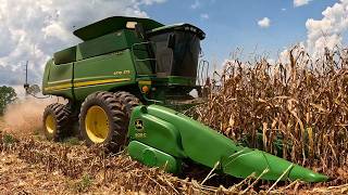 Highest PROFIT corn