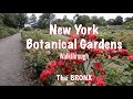Walkthrough of the New York Botanical Gardens - The Bronx