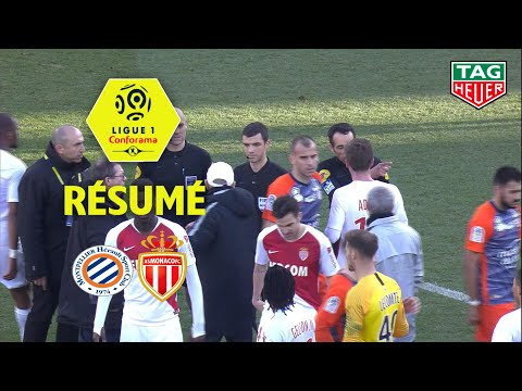 Montpellier Hérault SC - AS Monaco ( 2-2 ) - Résumé - (MHSC - ASM) / 2018-19