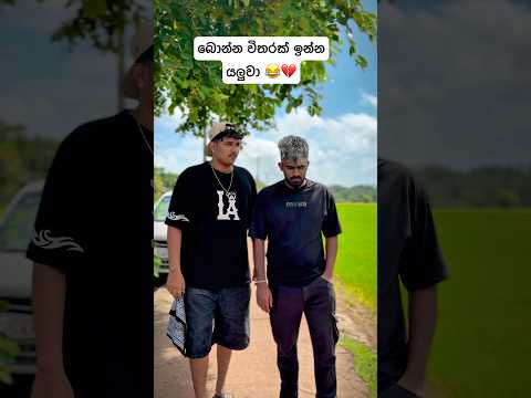 ඔයාලටත් ඉන්නවද මේ වගේ බොන්න විතරක් ඉන්න යලුවෙක් 😂💔