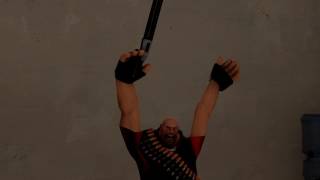 (SFM) Friendly Fire