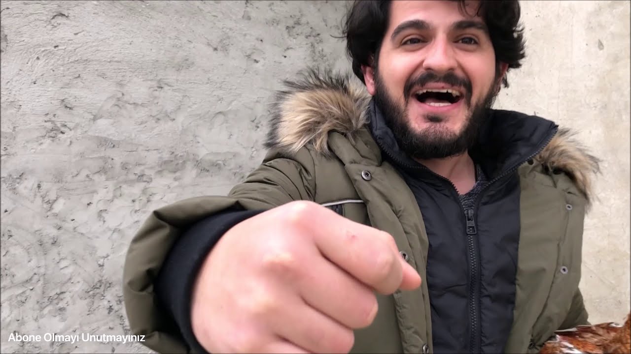 Hint Horozu Çiftliğindeki Horozlar Yeni Sahiplerini Bekliyor 