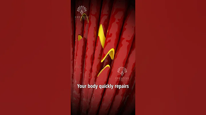 How Do Muscles Grow 😮 #Shorts #viralvideo  #fitness - Creativelearning3d