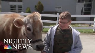 Animal-Assisted Therapy Program Helps Kids With Special Needs Find New Hope | NBC Nightly News