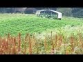 Revolutionizing Harvest: The Comfort-Focused Crop Picker