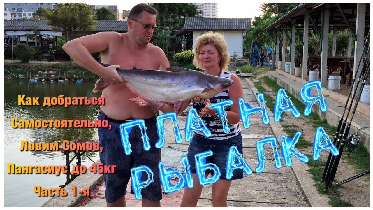 Как доеду посмотрю. Как доеду посмотрю