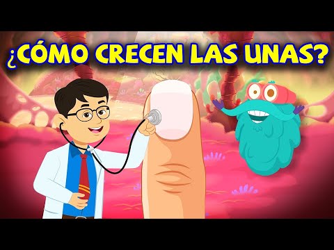 ¿Por Qué El Cuidado De Las Uñas Se Considera Una Profesión?