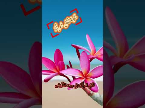 لم يأخذوا وصيتك يارسول الله فقلت استوصوا بالنساء خيراااا