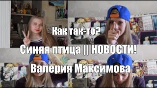 Синяя птица || НОВОСТИ! || Валерия Максимова