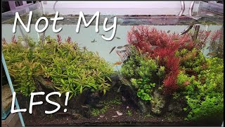 Fish Room Vlog Part 177