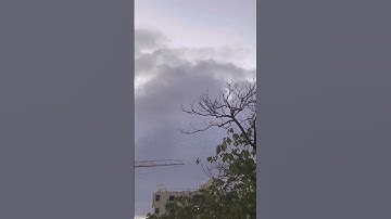 #egzonibrahimi #سورة_الإخلاص #ikhlas #goodmorning #nature #lifeisbutadream #myday #flowers #love