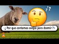 20 Preguntas Curiosas que No Sabías en 10 Minutos #16