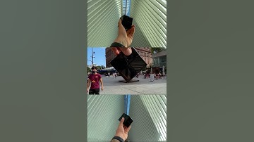 Looking for a new best friend?