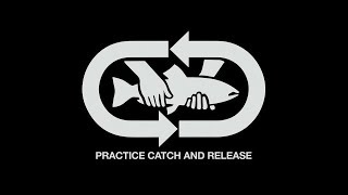 Catch-and-Release Fishing (Carpathians 18)