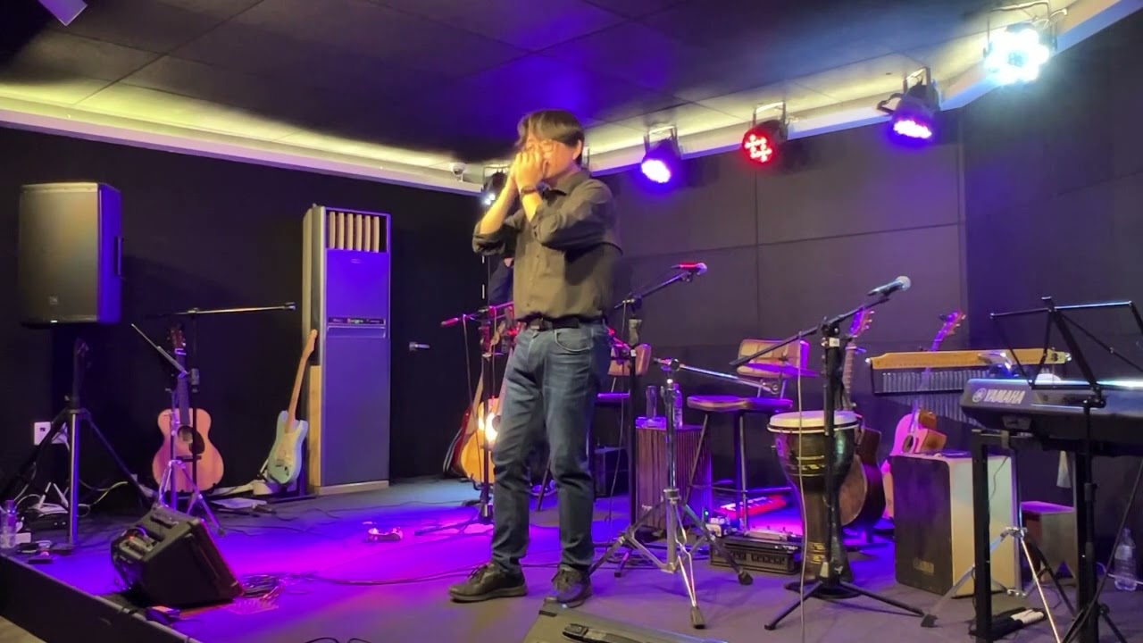 Shape of My heart - Diatonic Harmonica COVER live