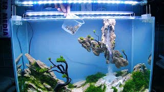 AQUASCAPE WATERFALL - Aquascape Waterfall Setup Using Sandstone And Moss Plants