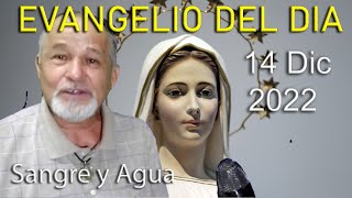 Evangelio Del Dia Hoy - Miercoles 14 Diciembre 2022- Sangre y Agua