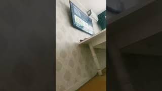 7 Ноября 2024 Г.