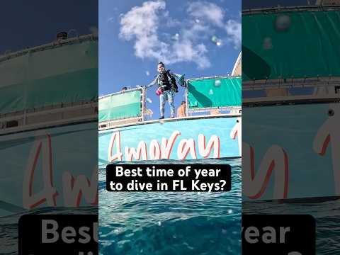 The Best Time Of Year For Scuba Diving Is Also Hurricane Season Scubadiving Divetravel