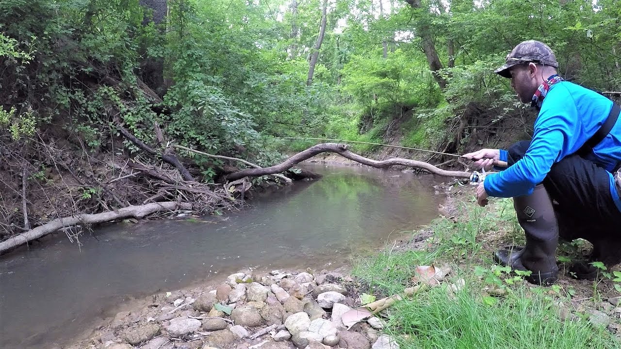 MICRO Fishing TINY Creek (Surprise Catch!) YouTube