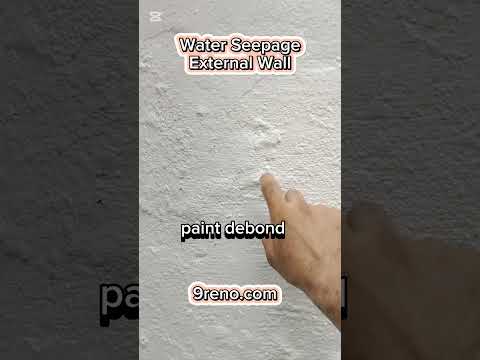 Paint Problems And Solutions Pdf