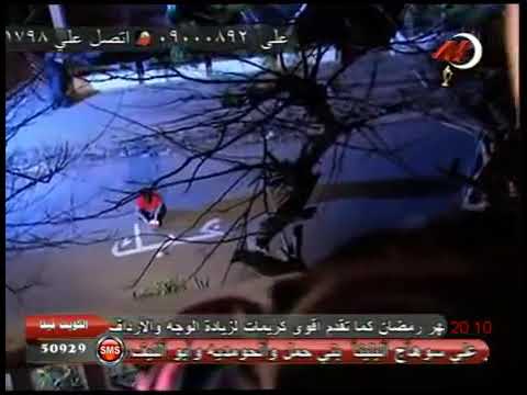 مع السلامة حلمي عبدالباقي