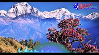 BEST MUSIC II No Copyright Music