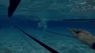 SBC會員開春水測1000m 團泳2000m