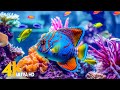 Aquarium 4K VIDEO (ULTRA HD) 🐠 Beautiful Coral Reef Fish - Relaxing Sleep Meditation Music