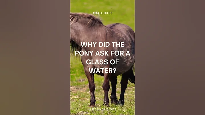 Pony water dad joke #dadjokes #comedy #comedyshorts #funny #funnyshorts #funnyvideo