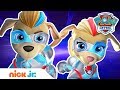 Which Mighty Pup are YOU? 🐶 PAW Patrol | Nick Jr.