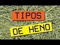 Tipos de heno