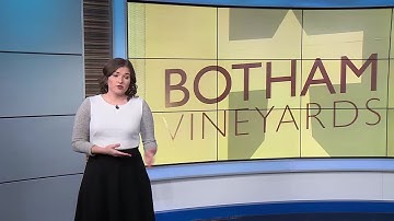 Wild weather shift may hold an impact on area vineyards