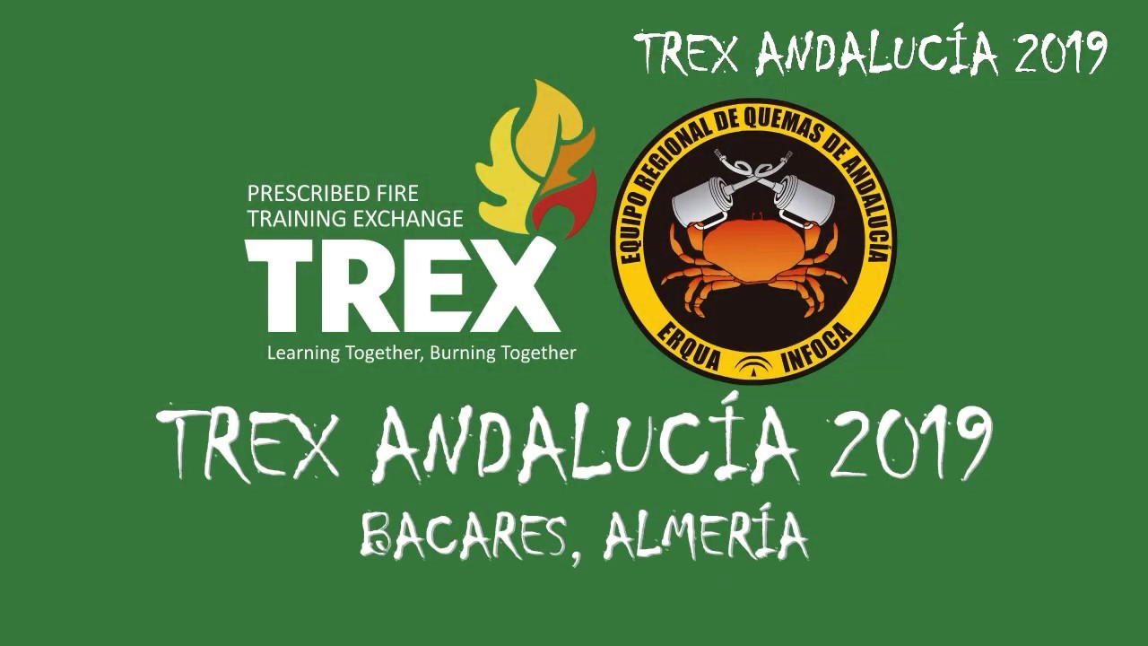 TREX 20191120: 2 º día de quemas.