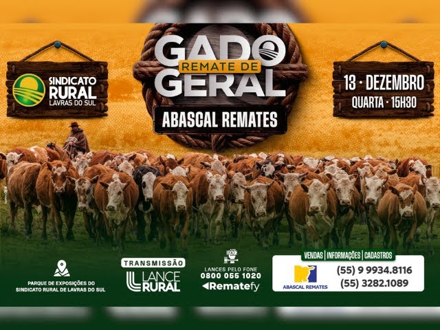 Remate de Gado Geral Abascal Remates 