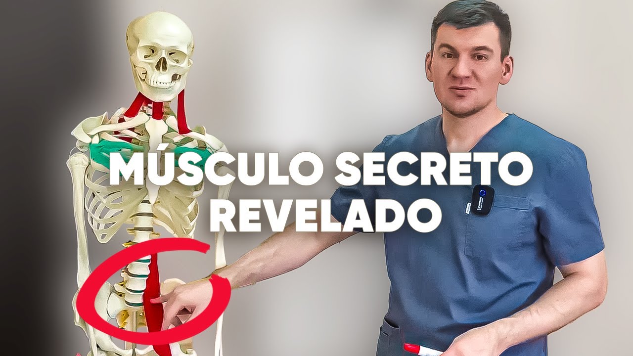 Este músculo, que fue descubierto en la URSS y escondido durante 120 años, y desclasificado en 2023.
