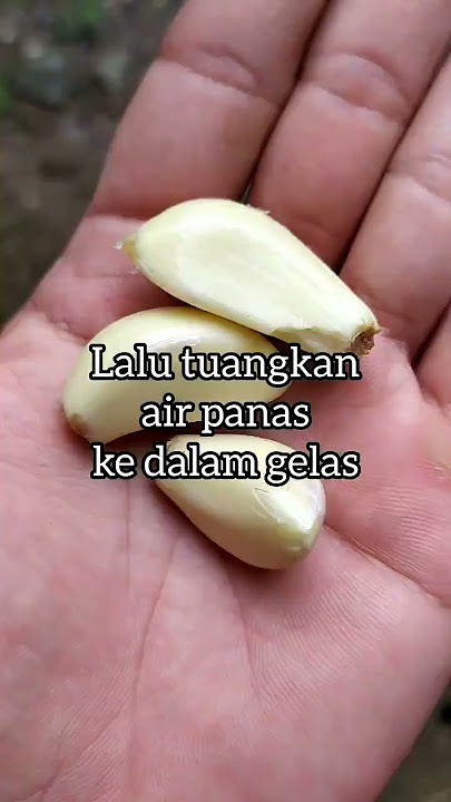 KHASIAT AIR SEDUHAN BAWANG PUTIH