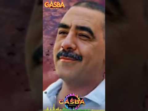 الشاب عز الدين شلفي       677