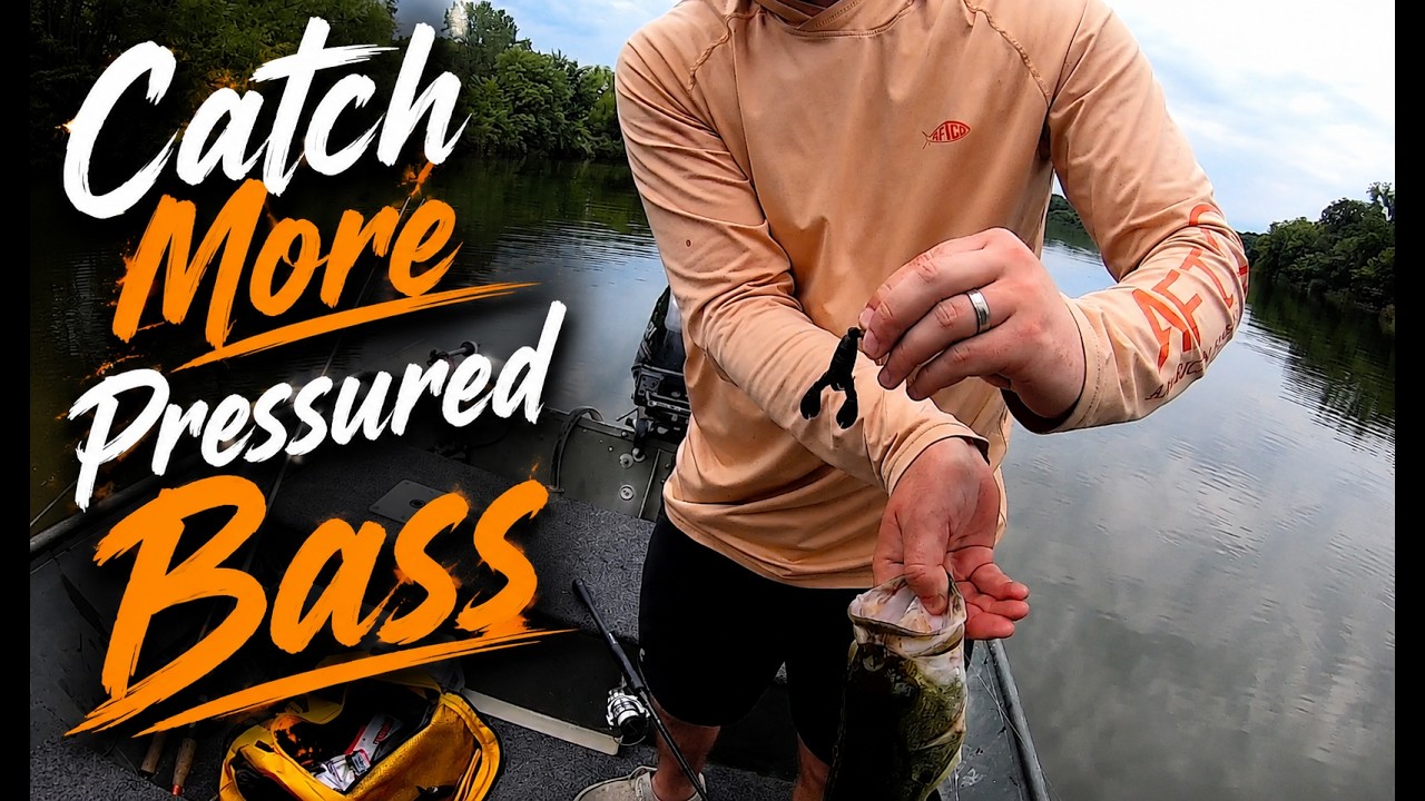 Pressured Bass CAN NOT Resist This!