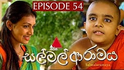 සල් මල් ආරාමය | Sal Mal Aramaya | Episode 54 | Sirasa TV